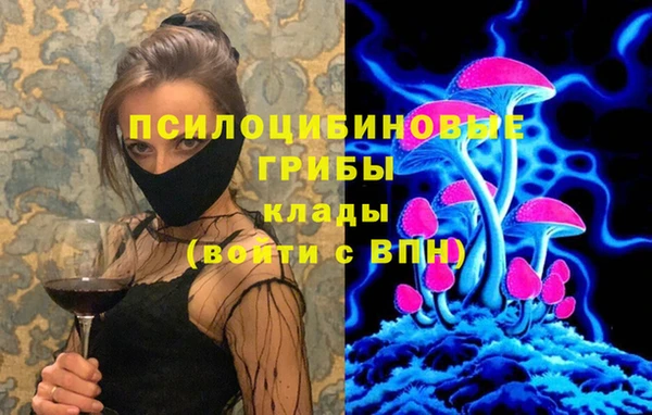 стаф Узловая