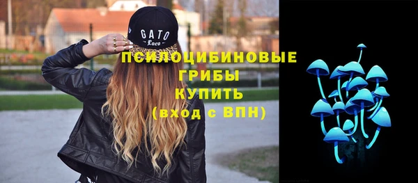 гидра Кущёвская