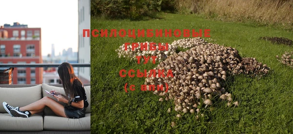 гидра Кущёвская