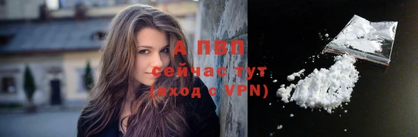 стаф Узловая