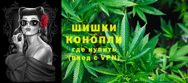 ПСИЛОЦИБИНОВЫЕ ГРИБЫ Янаул