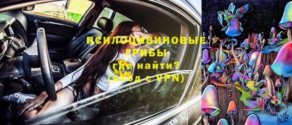 гидра Кущёвская